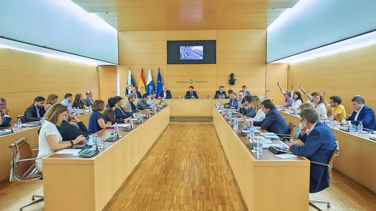 Pleno extraordinario