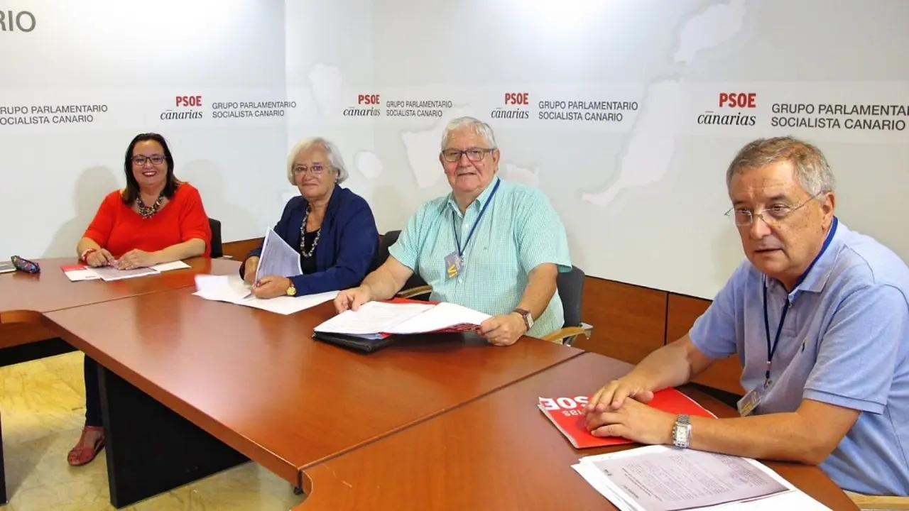 PSOE CANARIAS Comisi&oacute;n &Eacute;tica 2_Fotor