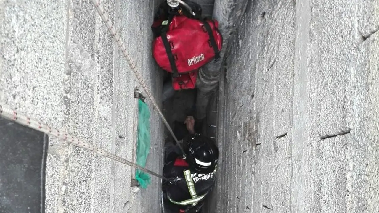 Rescate gato ICOD_Fotor