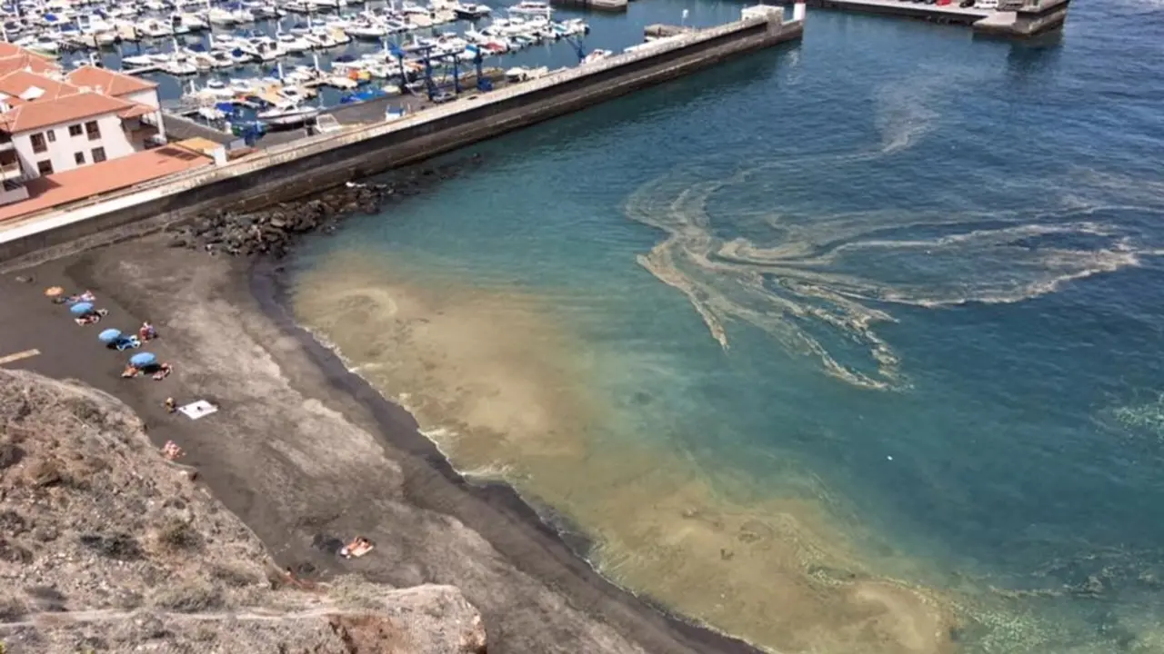 Marea de micoalgas en la Playa de Los Gigantes