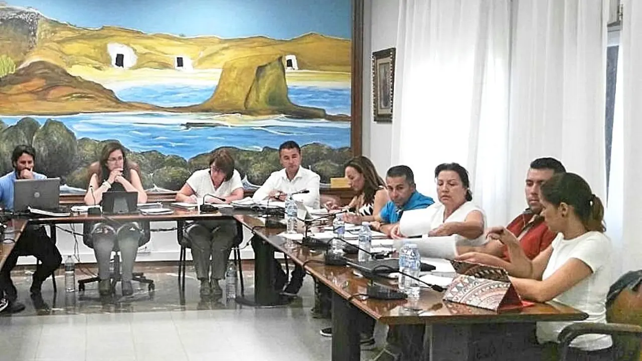 Grupo Socialita Ayuntamiento de Arico en Pleno_Fotor