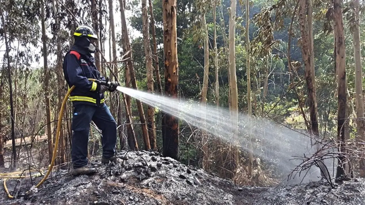 BOMBERO EN ACCION