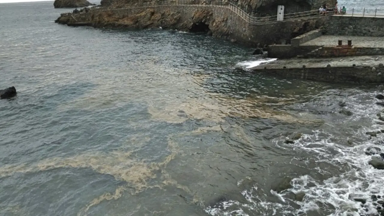 MICROALGAS ZONA ROQUE DE LAS BODEGAS
