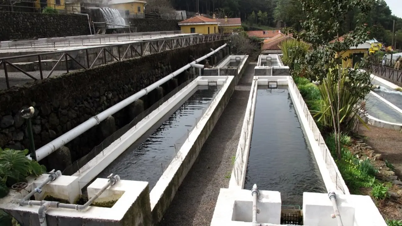 PISCIFACTORIA AGUAMANSA