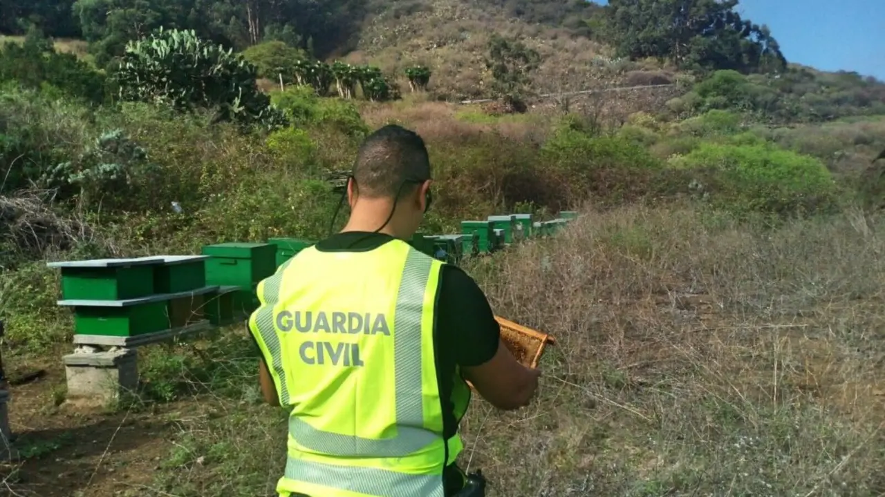 GUARDIA CIVIL 346_1_Fotor