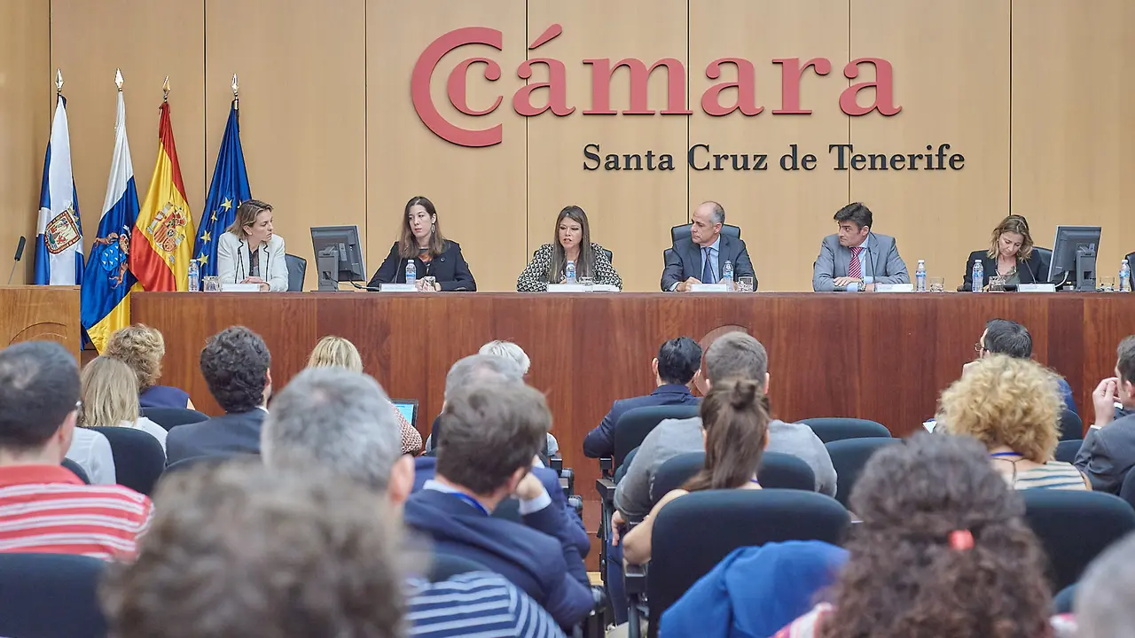 Tenerife Licita-II Encuentro Empresas Licitadoras 00