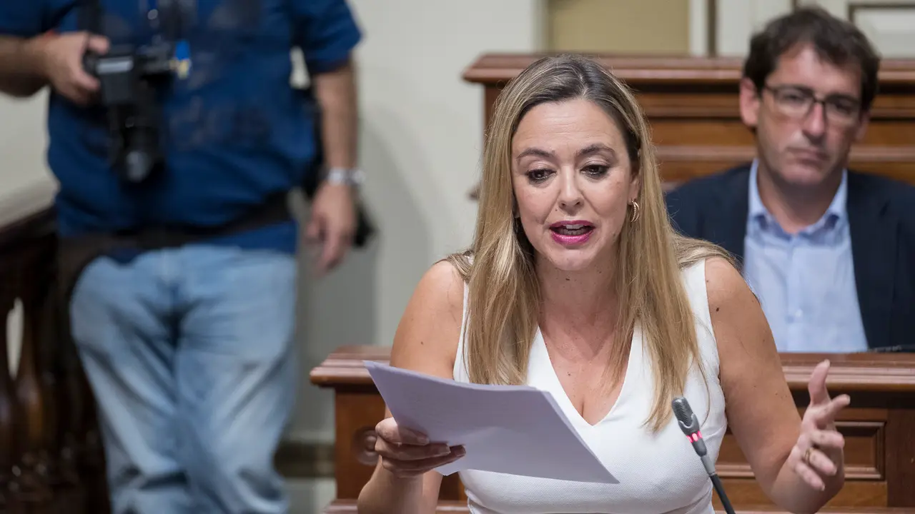 Portavoz del Grupo Parlamentario Socialista, Dolores Corujo Berriel