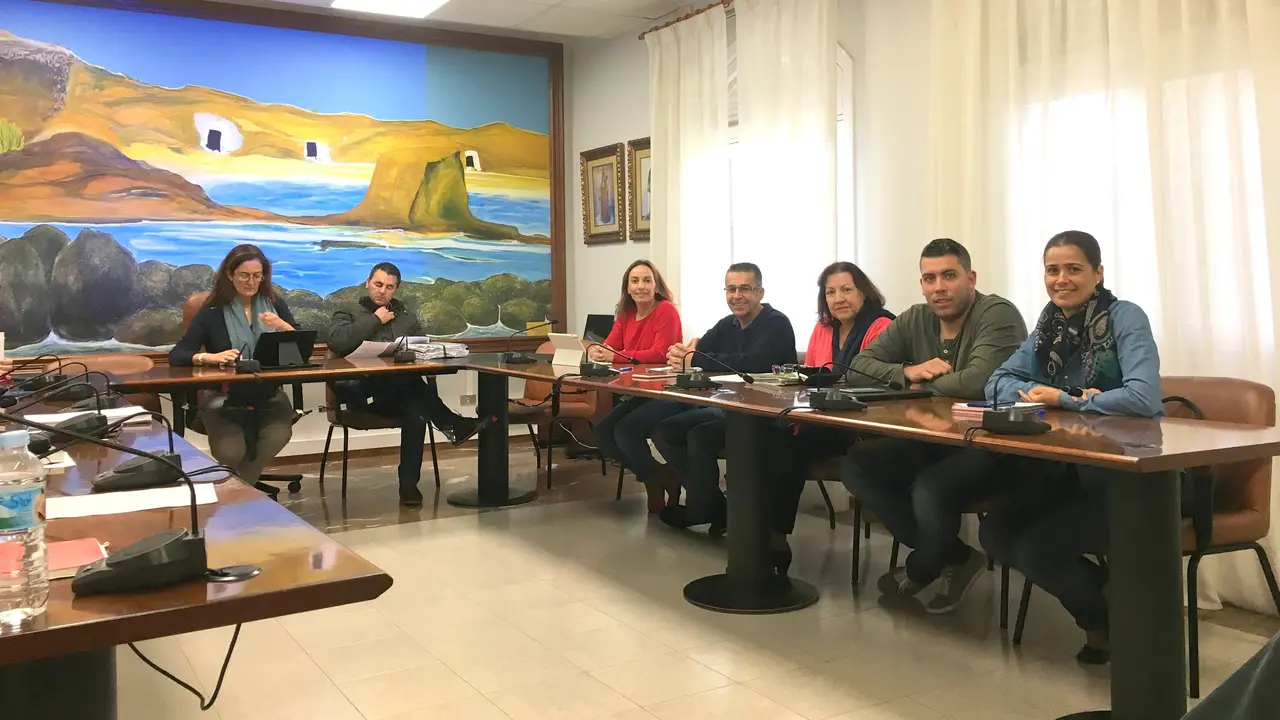 Grupo Socialista Arico en sesi&oacute;n plenaria
