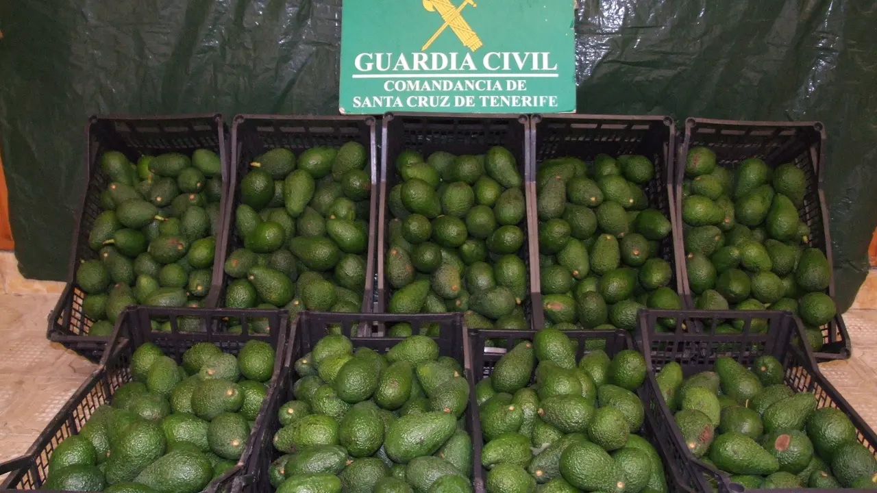 Aguacates