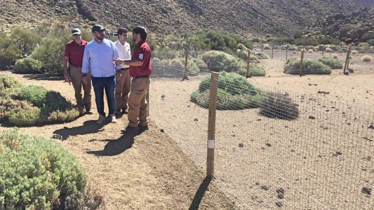 PNT-Colocaci&oacute;n vallado protecci&oacute;n flora (3)_Fotor