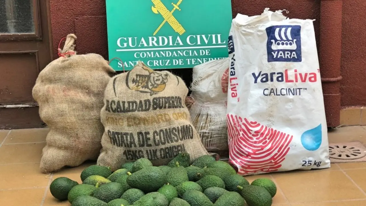 FOTOGRAF&Iacute;A AGUACATES ROBADOS Fotor