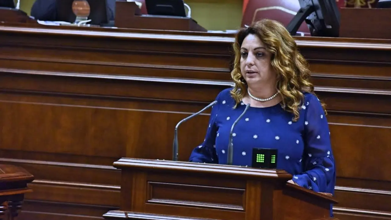 Cristina Valido parlamento-2_Fotor