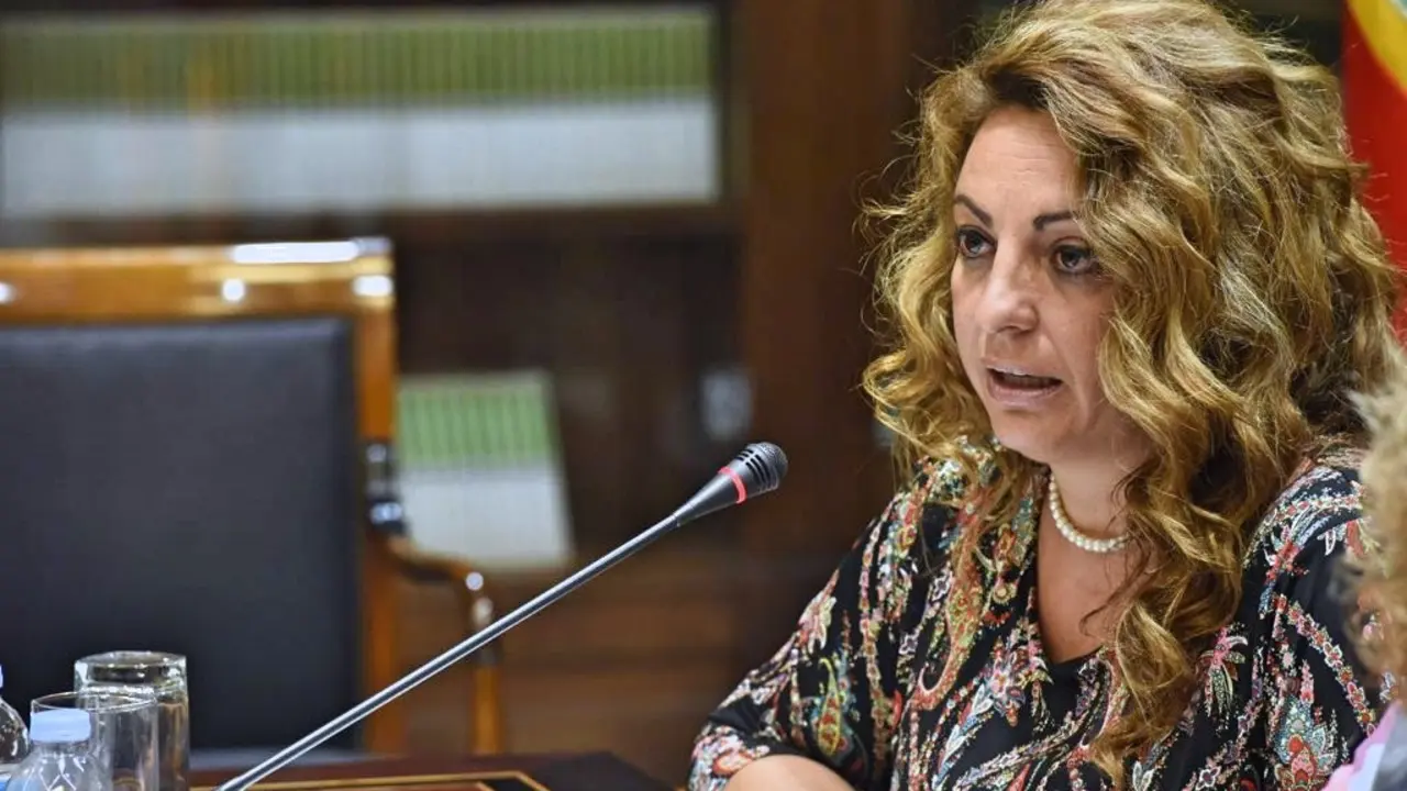 La consejera de Empleo, Pol&iacute;ticas Sociales y Vivienda, Cristina Valido, anunci&oacute; en comisi&oacute;n parlamentaria las ayudas previstas en los presupuestos de 2018 para garantizar la accesibilidad de las personas con discapacidad