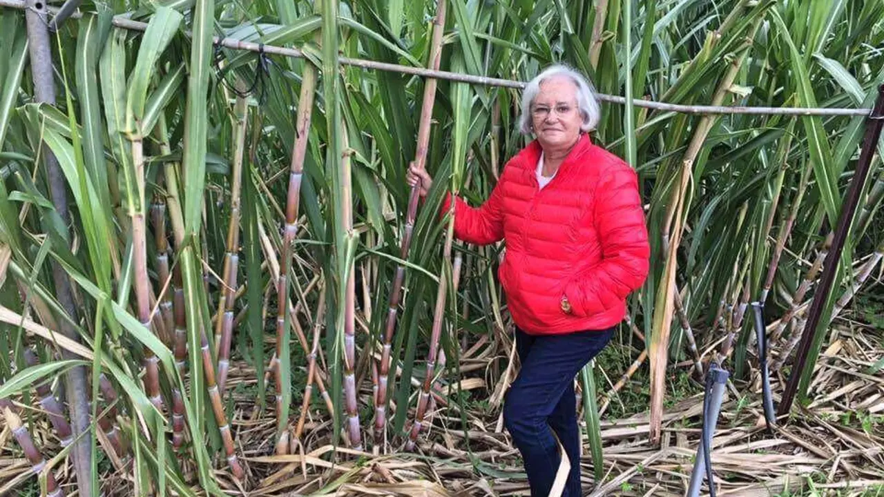 Mar&iacute;a-Victoria-Hern&aacute;ndez