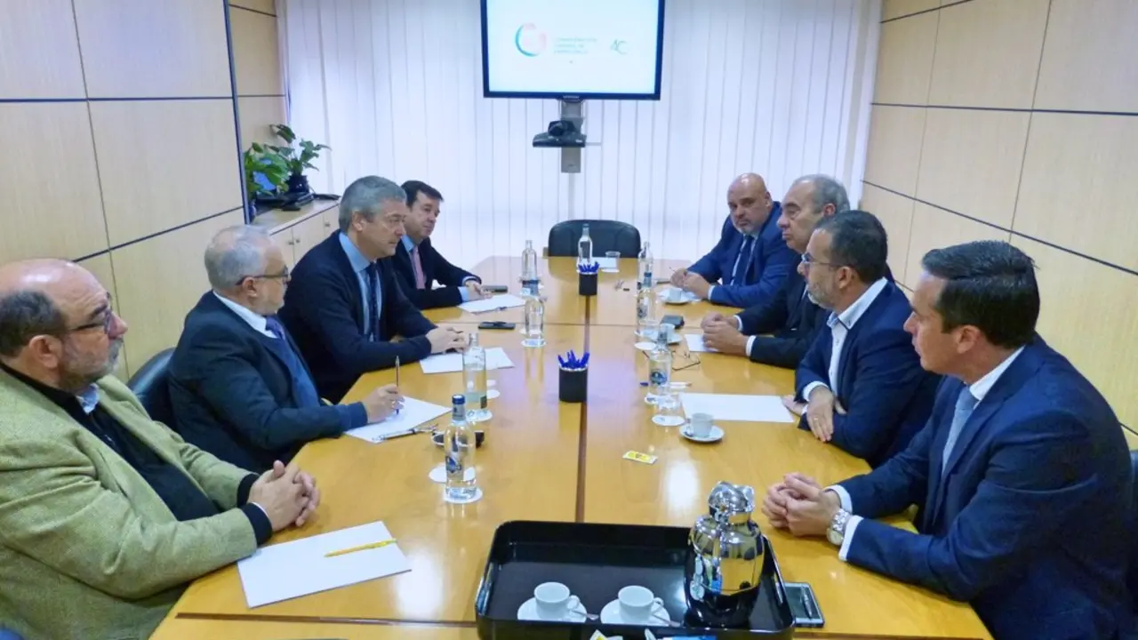 Mariano Cejas (Cs) durante la reuni&oacute;n con los representantes de la Confederaci&oacute;n Canaria de Empresarios_Fotor