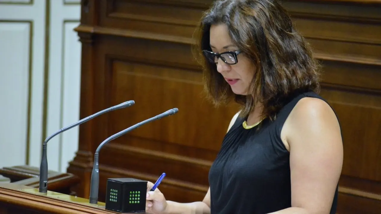 Ventura del Carmen Rodr&iacute;guez, portavoz de Igualdad