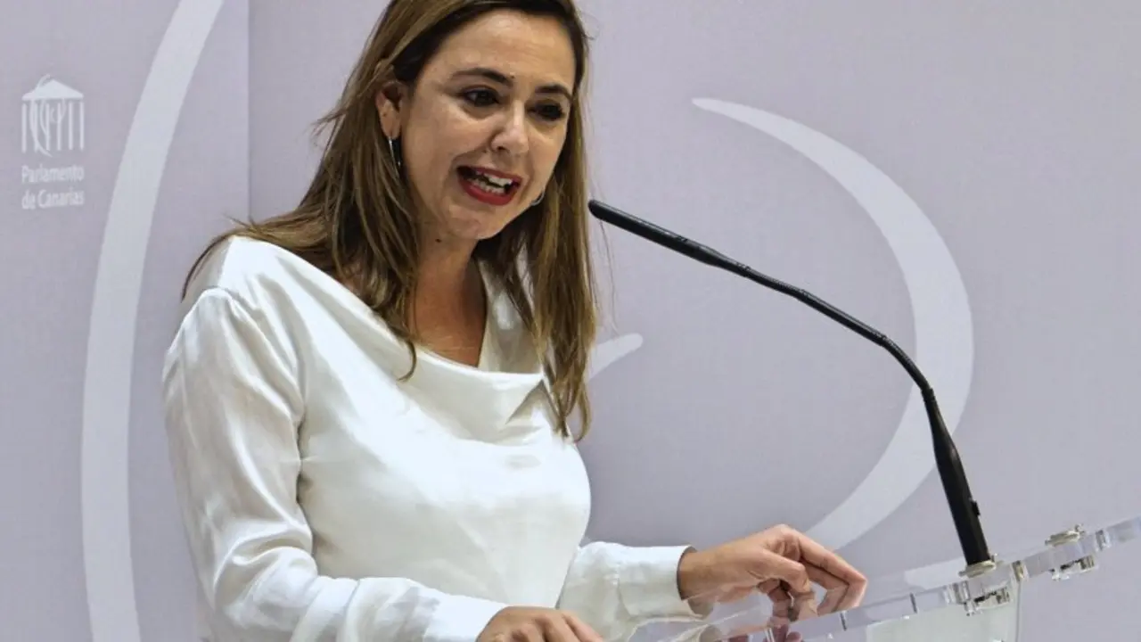 Dolores Corujo portavoz del Grupo Parlamentario Socialista
