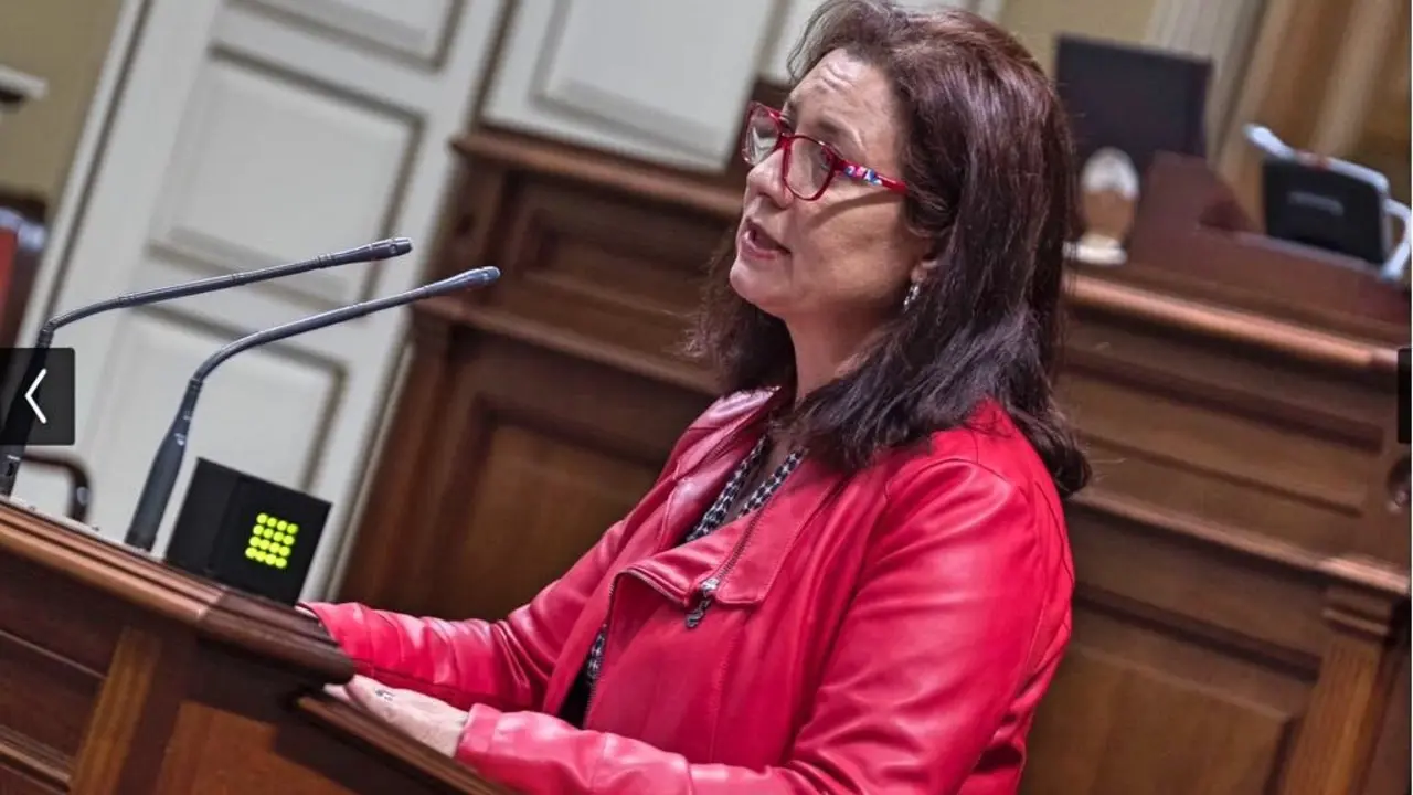 Ventura del Carmen Rodr&iacute;guez, portavoz de Igualdad del Grupo Parlamentario Socialista