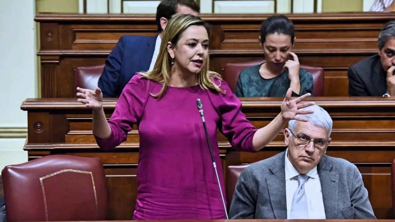 Dolores Corujo Berriel, portavoz del Grupo Parlamentario Socialista