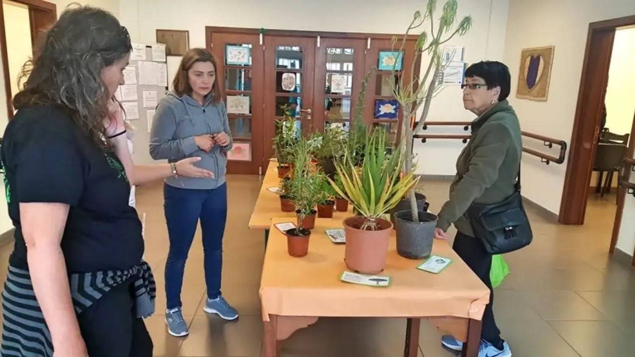 Tegueste-Exposici&oacute;n flores y plantas medicinales_Fotor