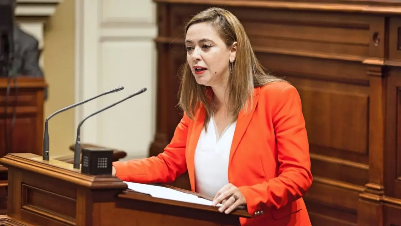 Dolores Corujo Berriel, portavoz del Grupo Parlamentario Socialista