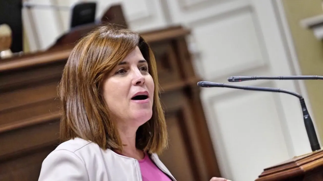 Teresa Cruz Oval, portavoz socialista de Pol&iacute;ticas Sociales