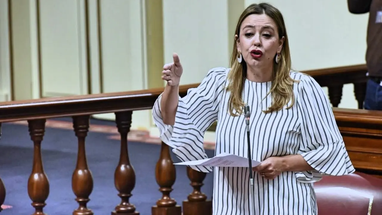 Dolores Corujo, portavoz del Grupo Parlamentario Socialista