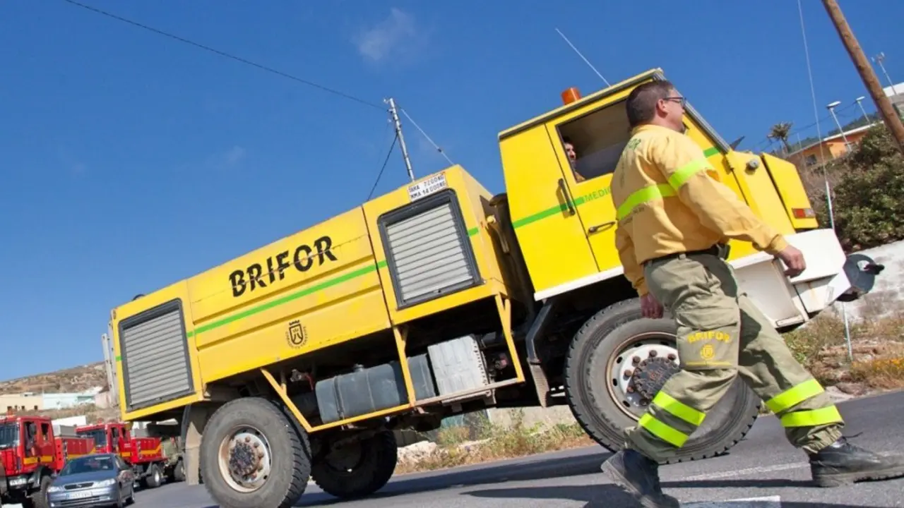 Brifor-5_Fotor