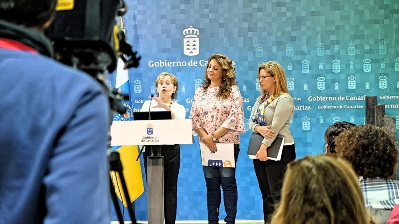 Mar&iacute;a Jos&eacute; Rodrigo, catedr&aacute;tica de psicolog&iacute;a evolutiva, quien ya dirigi&oacute; el Informe sobre Infancia y Familia en Canarias, coordinar&aacute; los trabajos de las dos instituciones p&uacute;blicas