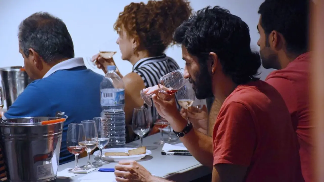 CATA VINOS ULL