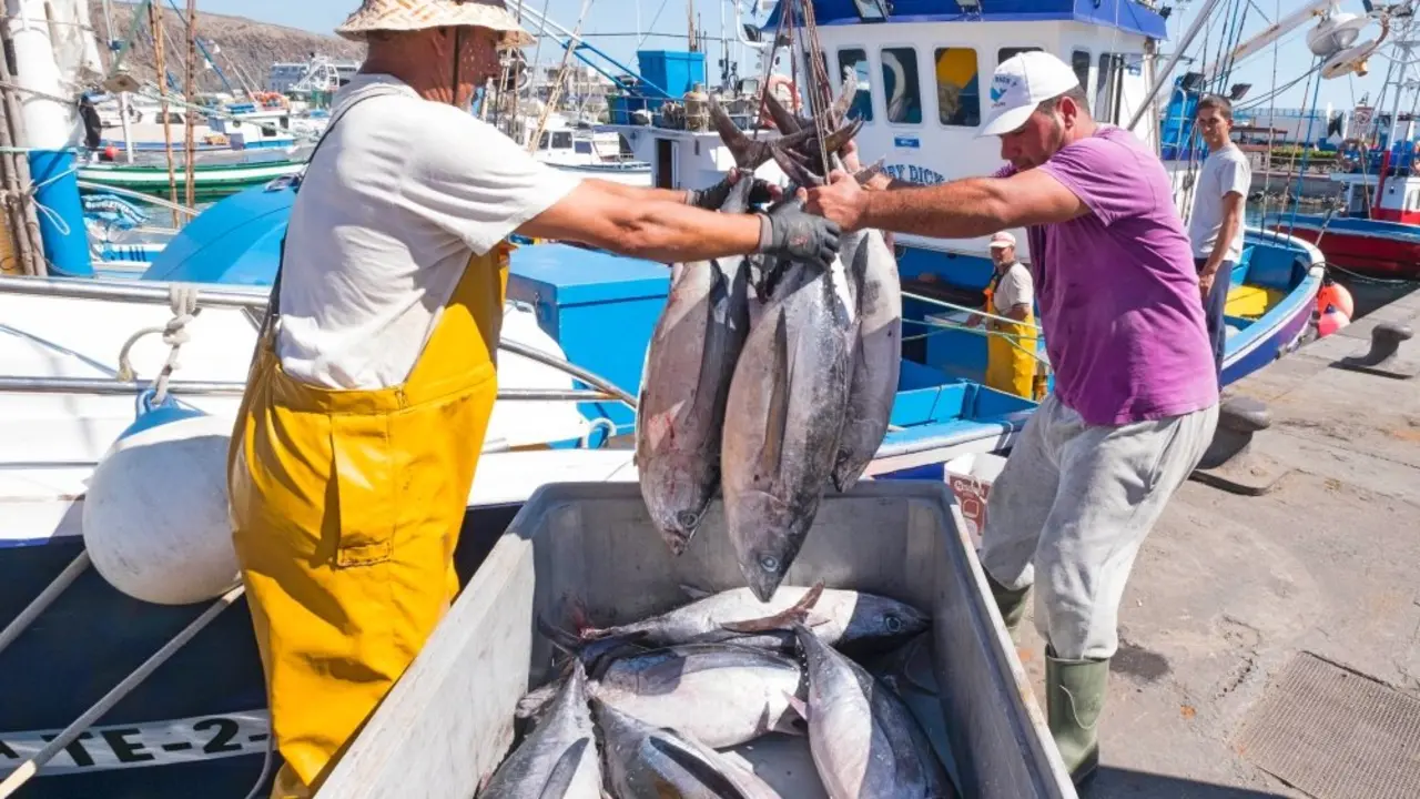 LosCristianos pesca at&uacute;n pescadores 2_Fotor