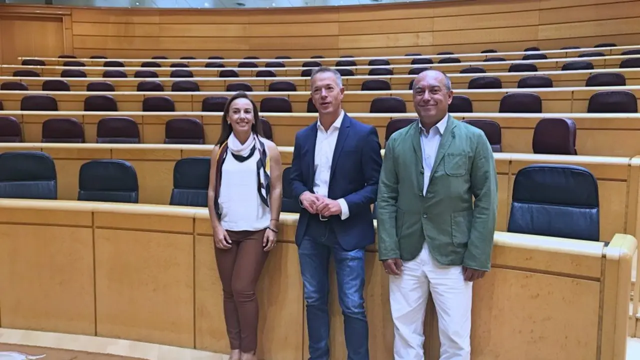 Ander Gil con senadores canarios Olivia Delgado y Julio Cruz 1_Fotor