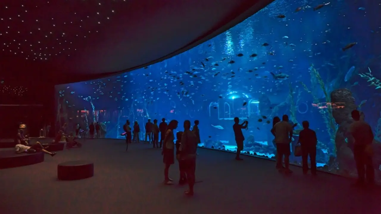 Loro Parque y Poema del Mar se unen a otros acuarios y a la Comisi&oacute;n Europea para luchar contra el pl&aacute;stico (6)_Fotor