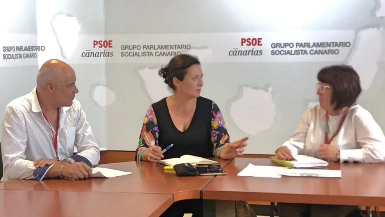 Psoe Apiten 13_Fotor