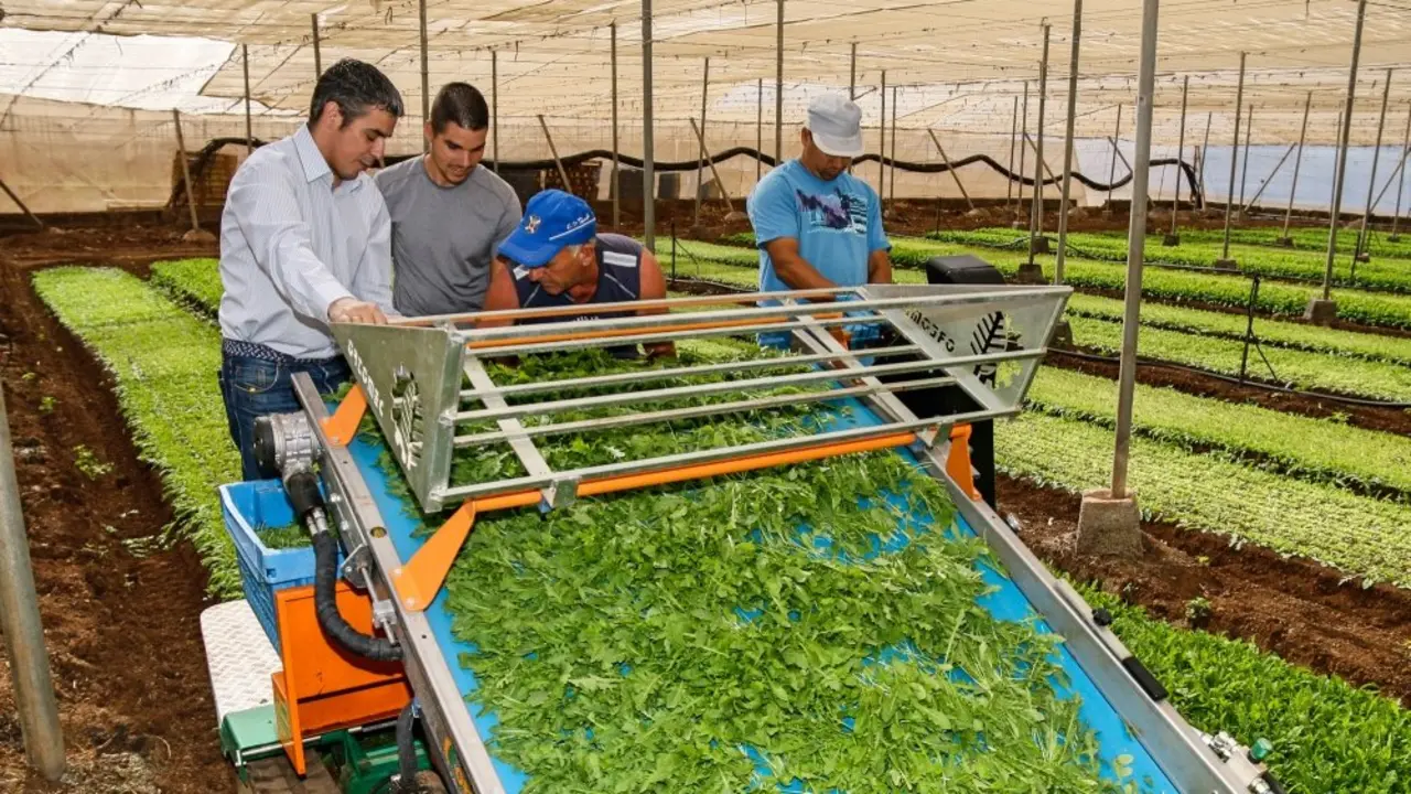 Visita del consejero de agricultura del Gobierno de Canarias, Narvay Quintero, a empresas agr&iacute;colas y tecnol&oacute;gicas del sur de Tenerife.
Finca Granadillos
&copy; Pepe Torres