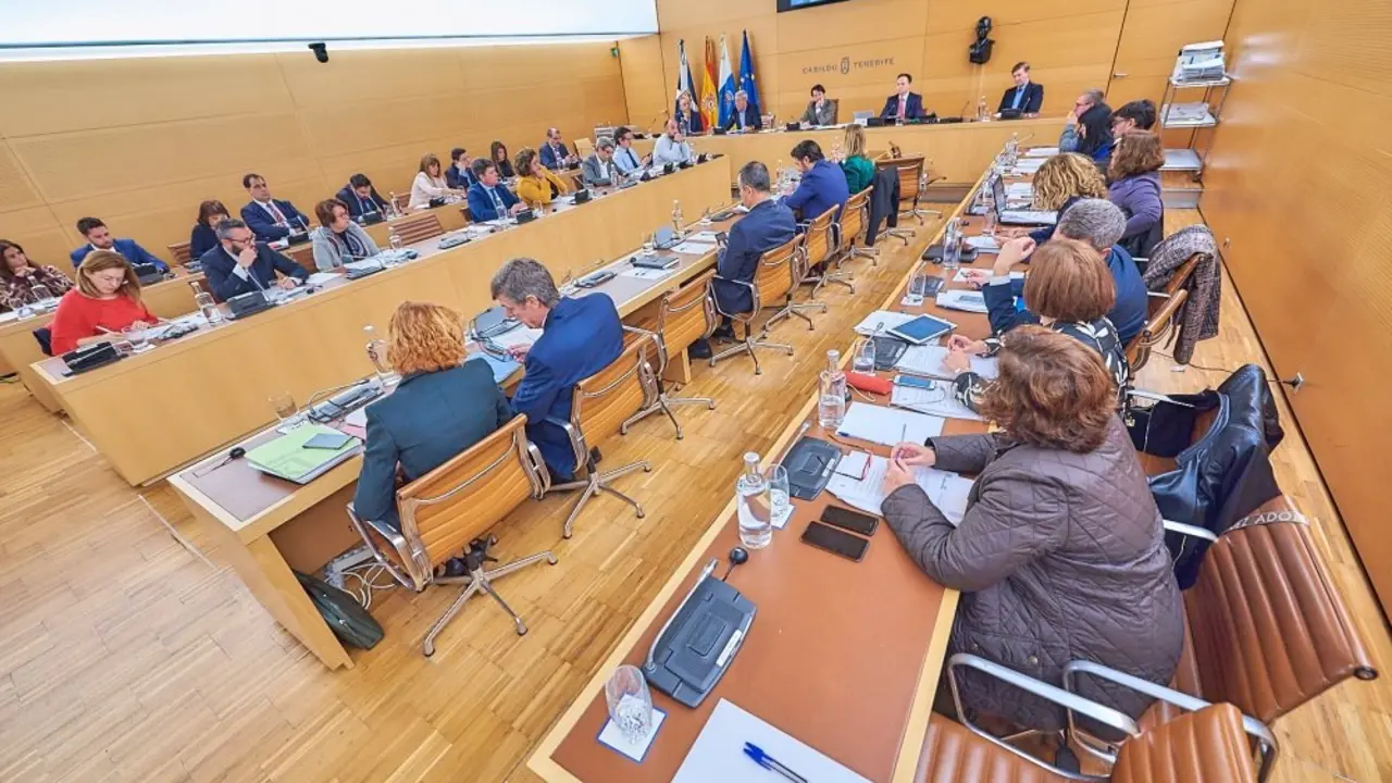 Pleno Cabildo 25 enero 2019 (12)_Fotor