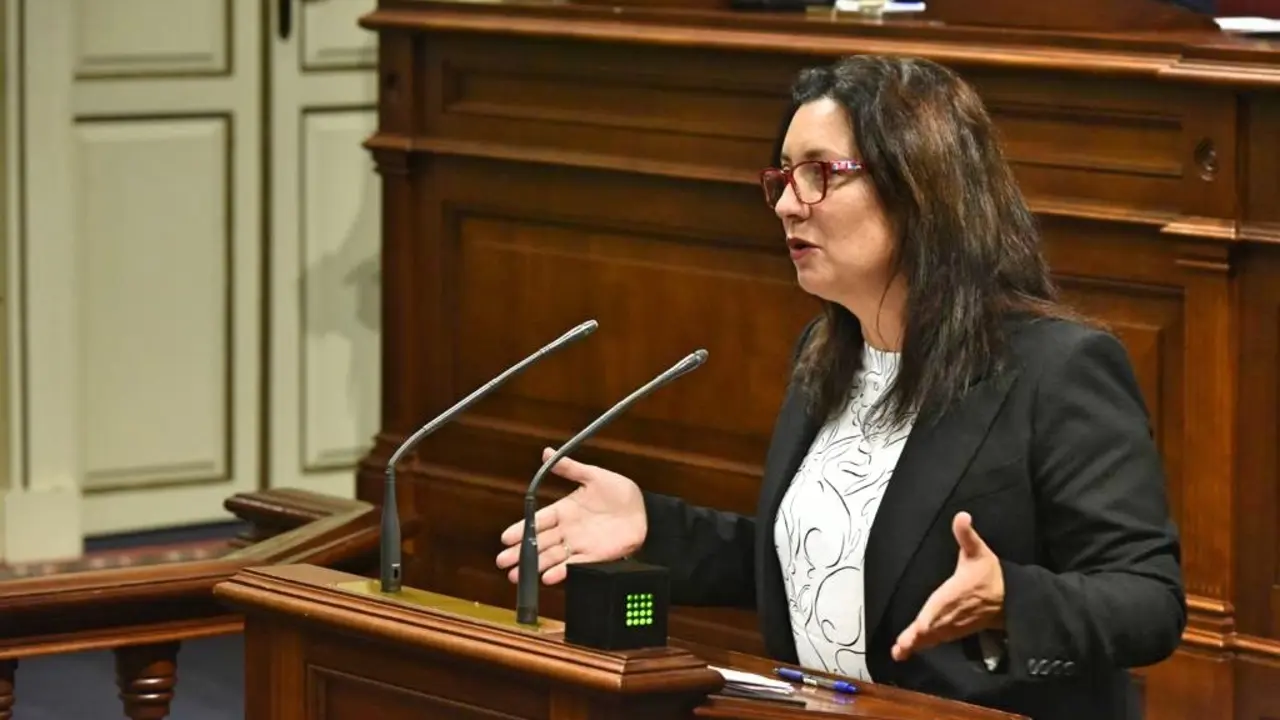 Ventura del Carmen Rodr&iacute;guez diputada del PSOEFotor