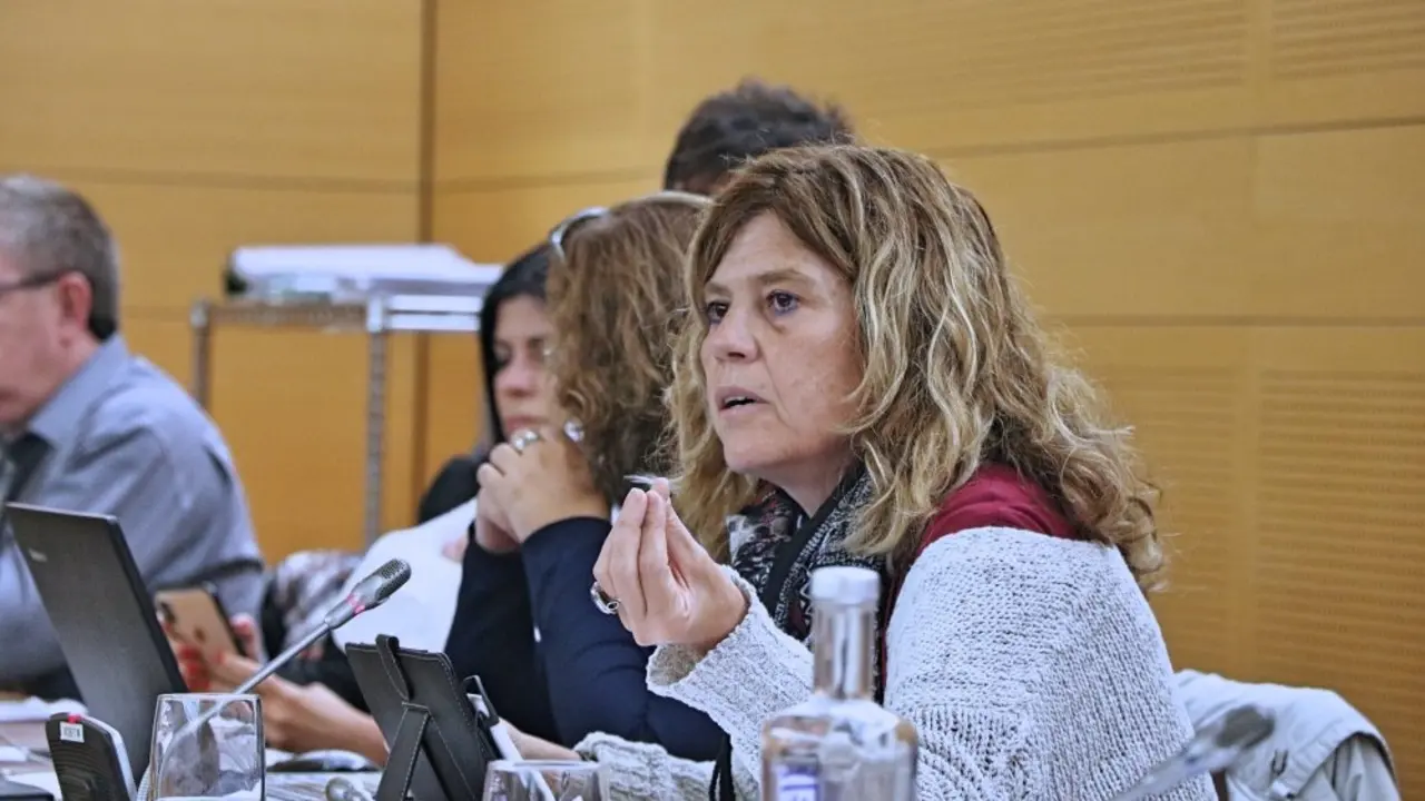 Mar&iacute;a Jos&eacute; Belda, consejera insular de Podemos _Fotor