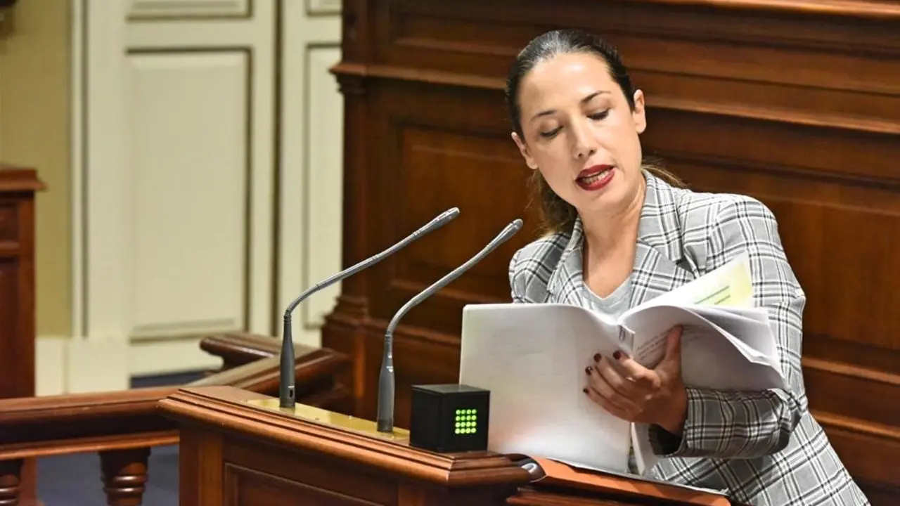 Patricia Hern&aacute;ndez PSOE _Fotor