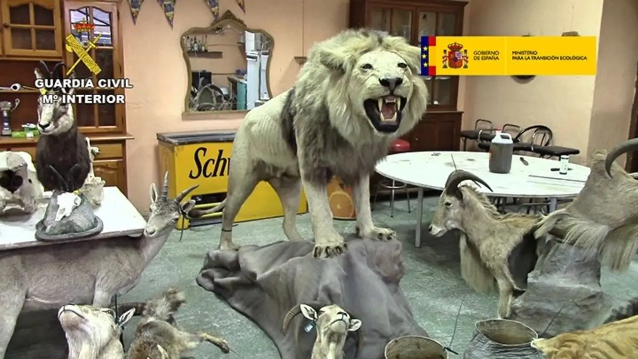 2019-02-12_op_taxideralia_01_Fotor