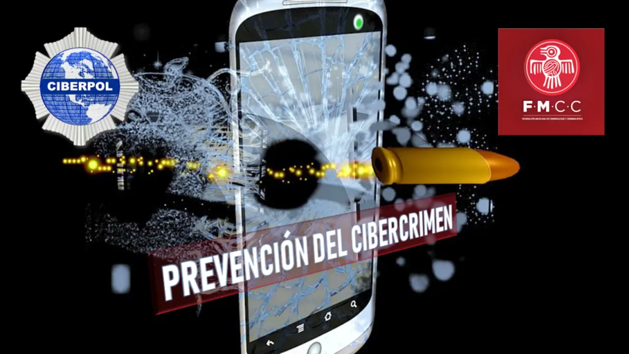 cIBERPOL , pREVENCI&Oacute;N DEL CIBERCRIMEN_Fotor