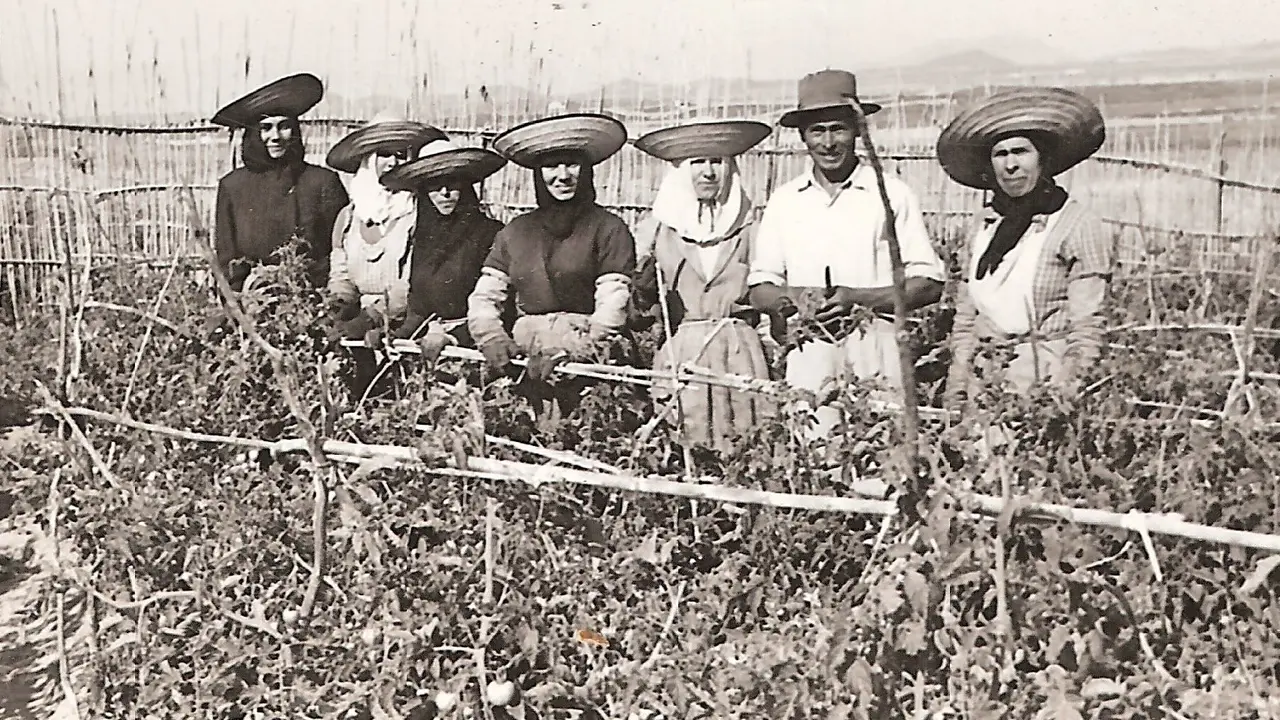 TOMATEROS EN LOS LLANOS DE ROJA A&Ntilde;O 1949_Fotor