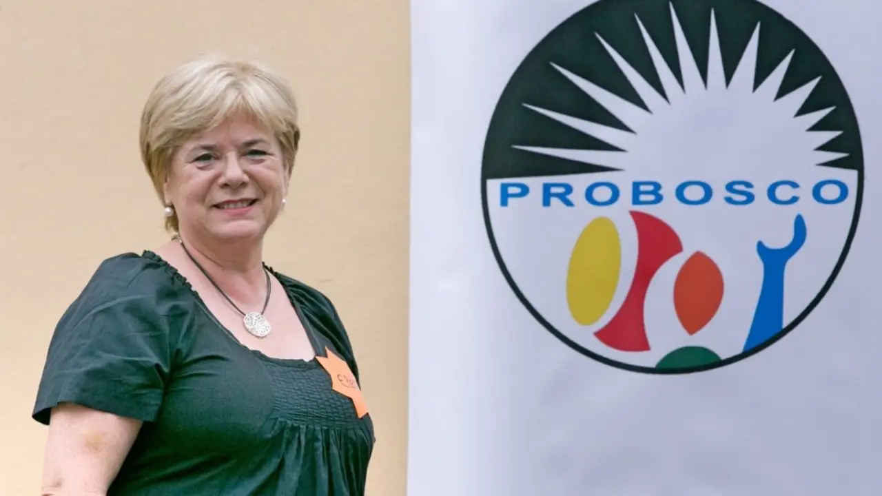 Probosco 12_Fotor