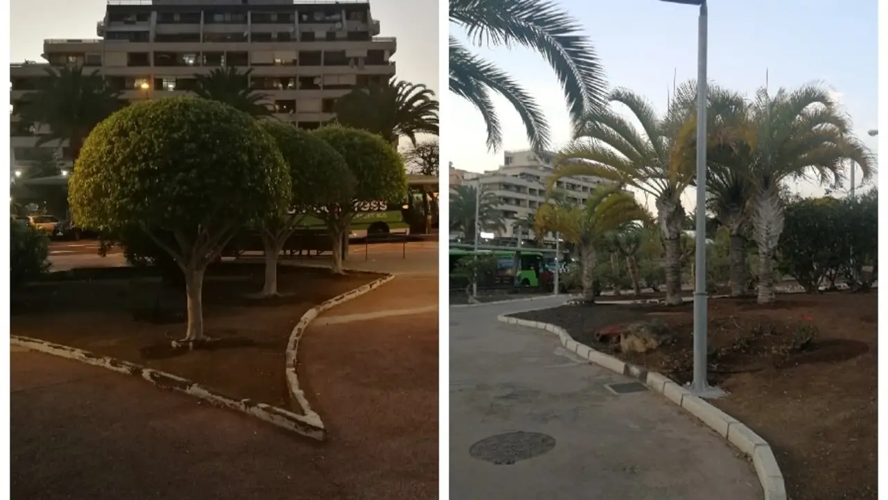 nueva luminar&iacute;a los cristianos _Fotor