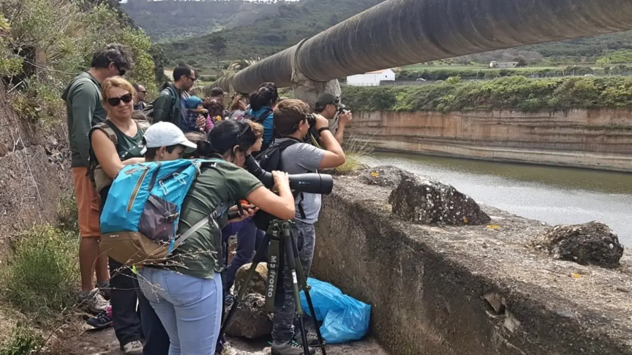 aves Voluntariado 2-2_Fotor