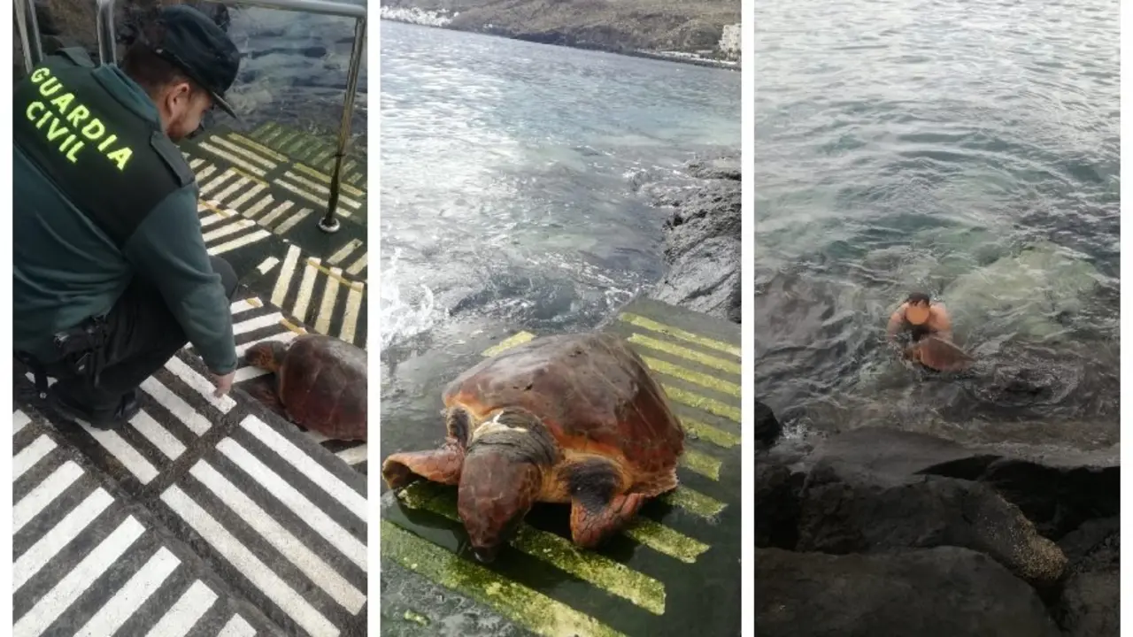 Tortuga BOBA Guardia Civil e_Fotor