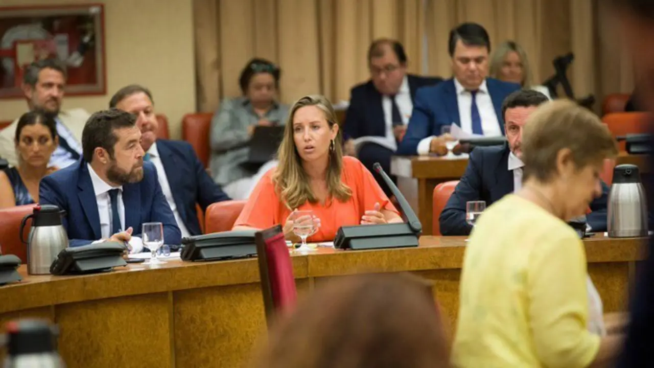 Melisa Rodr&iacute;guez en Diputaci&oacute;n Permanente Congreso de los Diputados