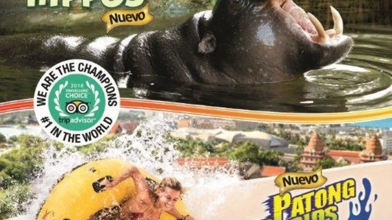 Loro Parque invita a los vecinos de Punta Brava y Las Adelfas a visitar sus instalaciones (4)_Fotor