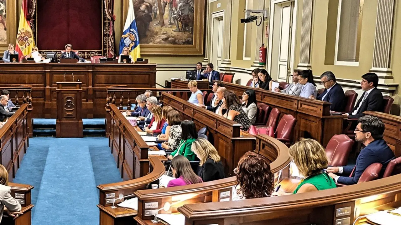 10.09.2019. Santa Cruz de Tenerife. Primer Pleno de la X Legislatura.

&copy; Pepe Torres