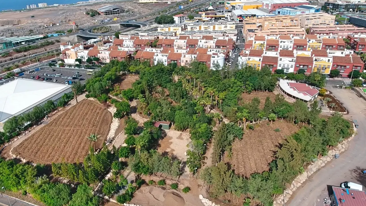 Se est&aacute; llevando a cabo, es la creaci&oacute;n de un bosque productivo in&eacute;dito en la zona sur de la isla de Tenerife._Fotor
